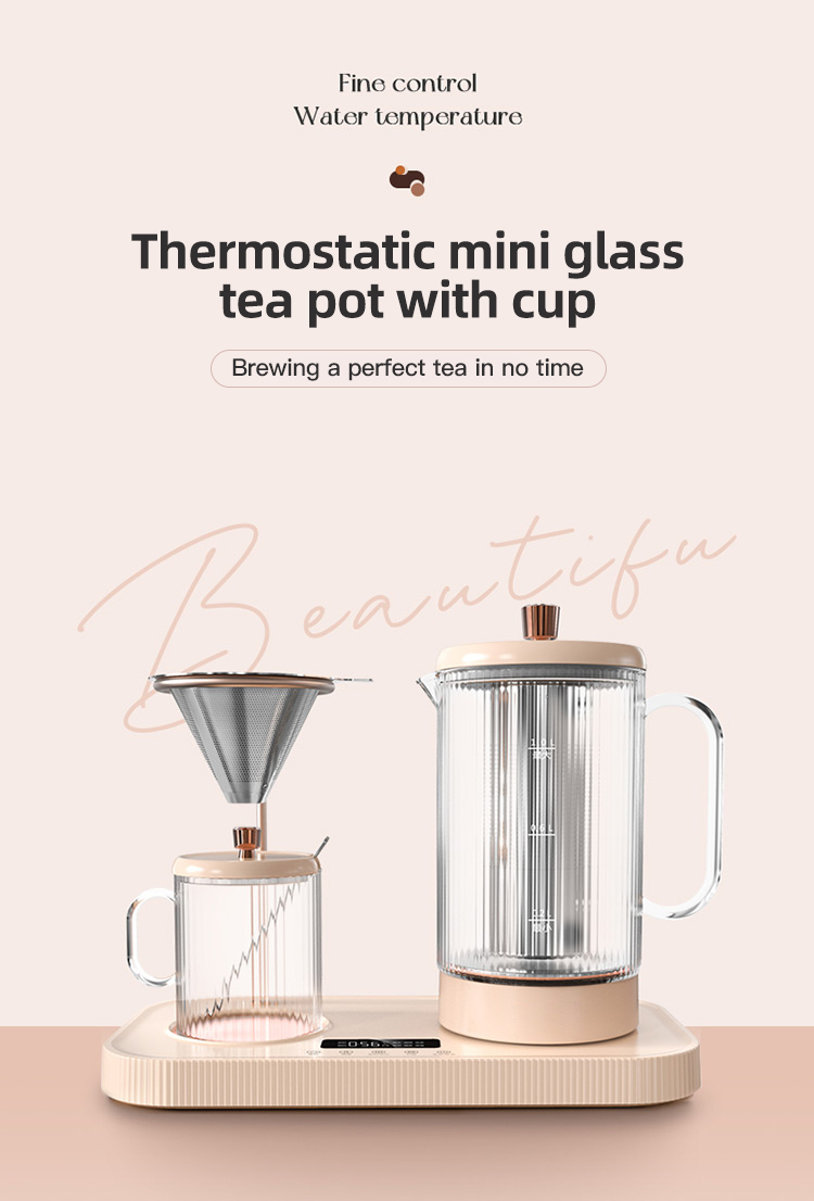  Health Glass Teapot_02