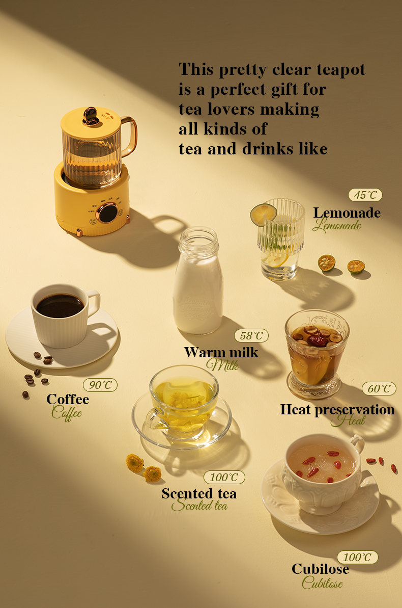 Multi-Functional Health-Care Tea Maker  06
