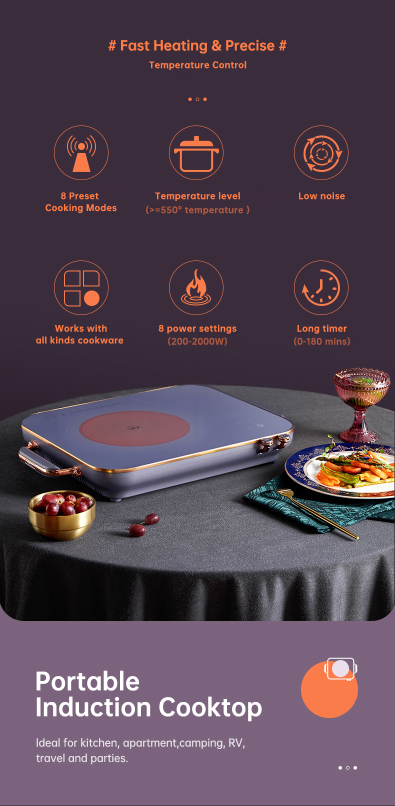 induction cooker 02