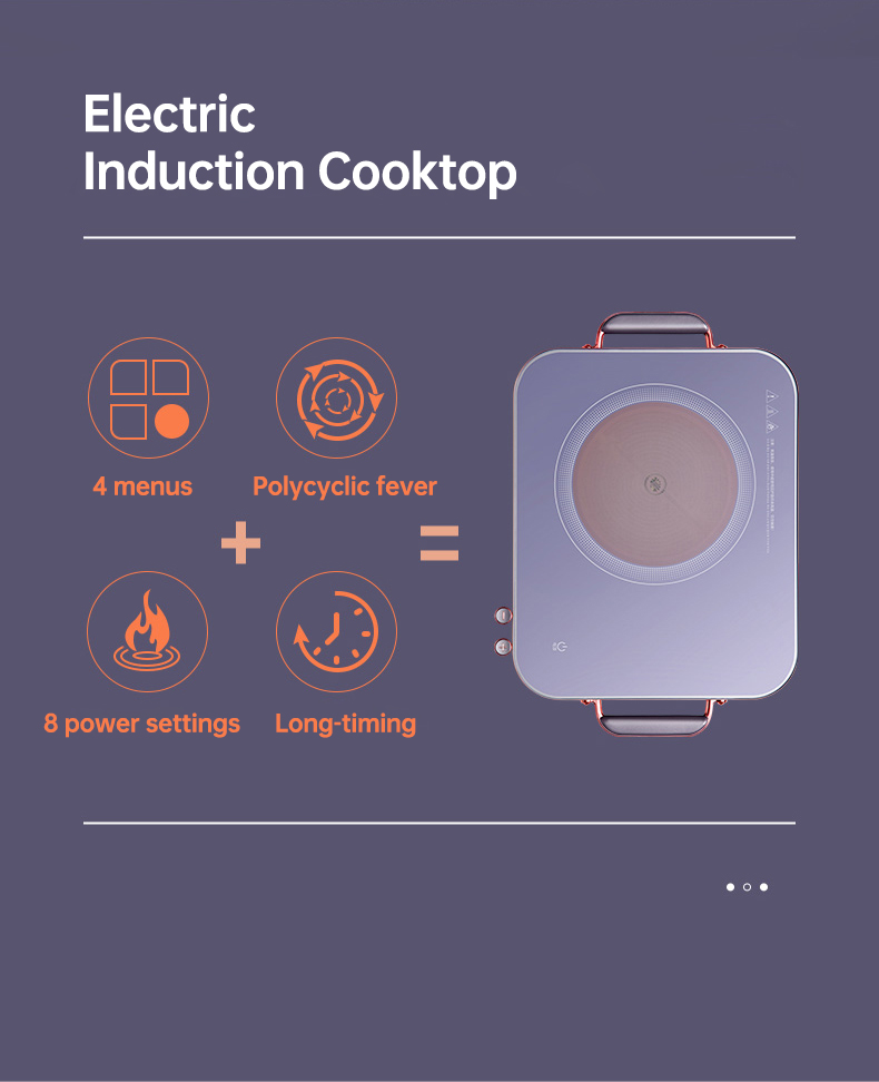 induction cooker 06